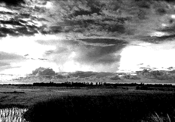 Inclimate Weather